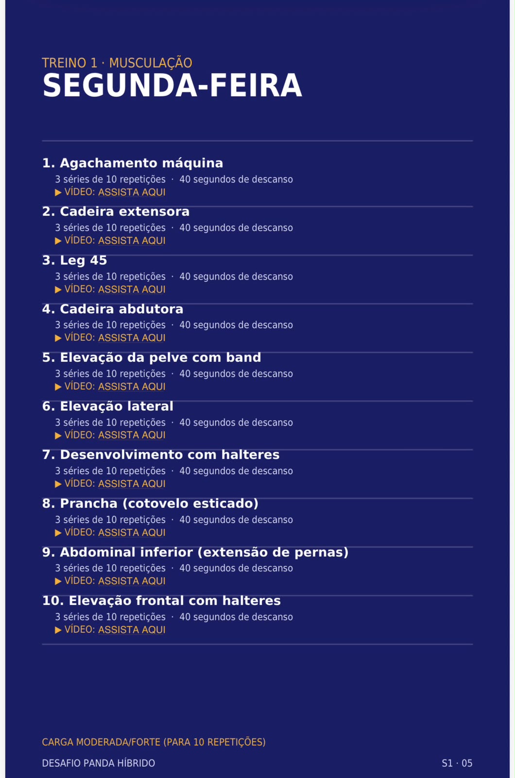 Prévia da planilha Panda Híbrido 1